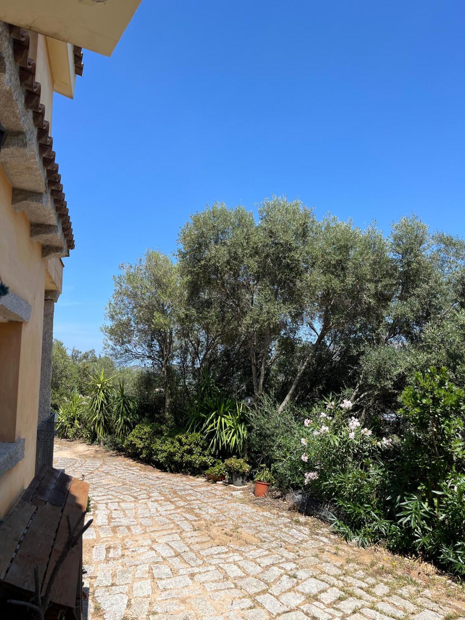 Venti Di Vacanza - Levante & Grecale Olbia Eksteriør bilde